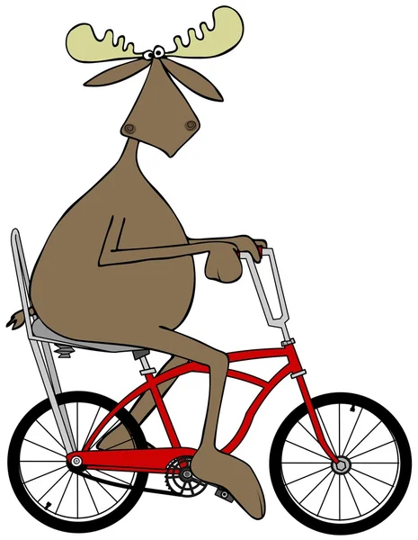 Moose montar en bicicleta —  Fotos de Stock
