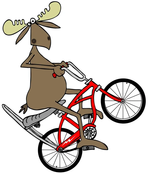 Moose popping a wheelie on a bicycle — Stock Photo, Image
