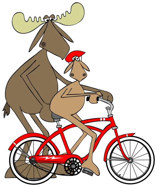 Teaching a young moose to ride a bicycle — Stock Photo, Image