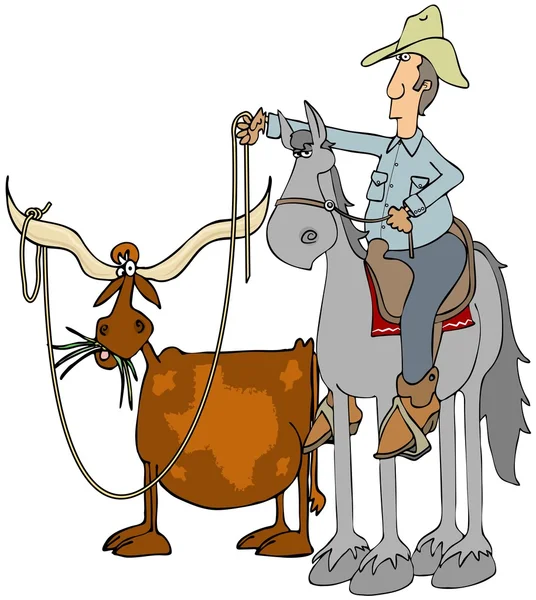 Cowboy cordage un Texas longhorn — Photo