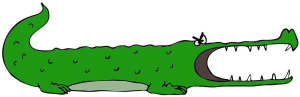 Cartoon alligator — Stockfoto