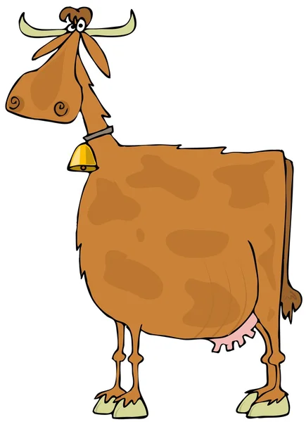 Brown spotted cow — Stock Photo, Image