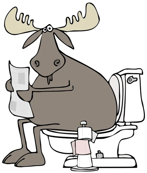 Moose sitting on a toilet — Stock Photo, Image