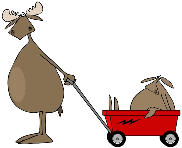 Moose pulling baby in wagon — Stock Photo, Image