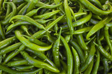 yeşil biber arka plan