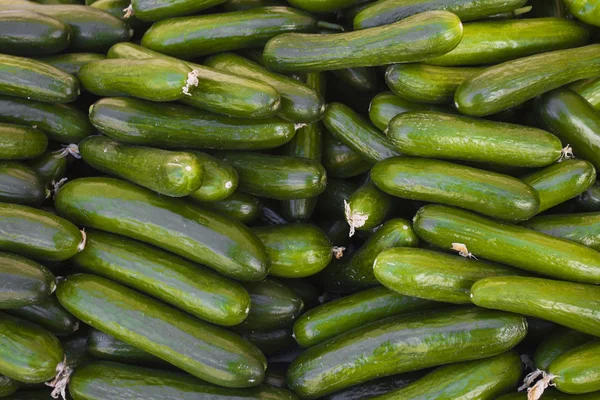 A lot of cucumbers background — Stock Photo, Image
