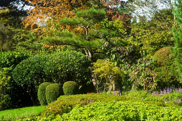 Diseño del paisaje —  Fotos de Stock