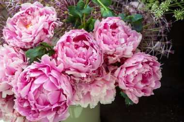 Bir vazo içinde güzel peonys bileşimi