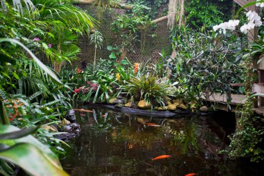 Egzotik Bahçe peyzaj