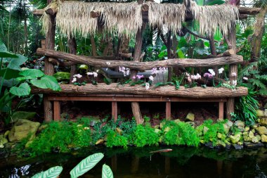 Egzotik Bahçe peyzaj