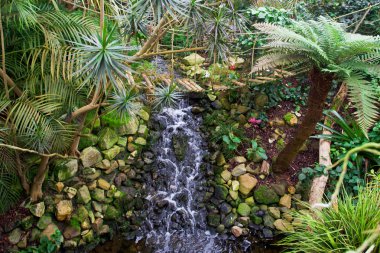 Egzotik Bahçe peyzaj