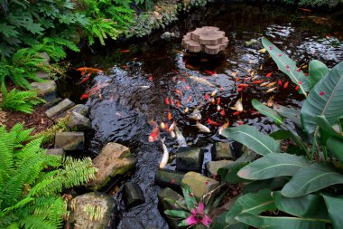 Egzotik Bahçe peyzaj