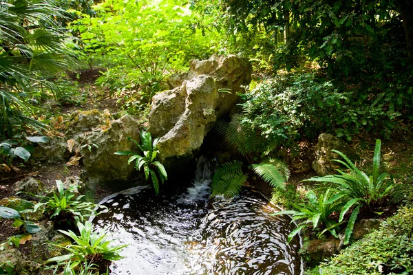 Tranquillo paesaggio giardino — Foto Stock