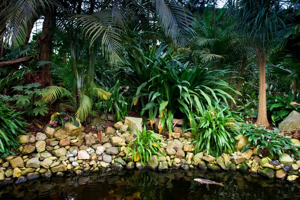 Exotiska trädgård landskap — Stockfoto