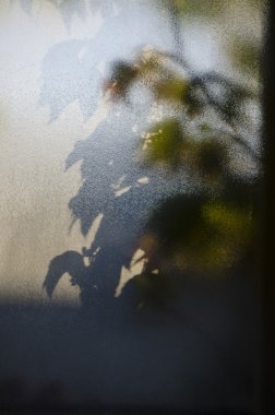 penceresinde gölgeler