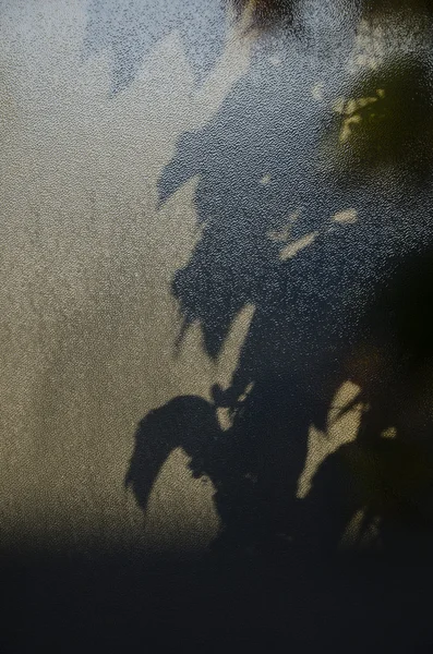 Schatten im Fenster — Stockfoto