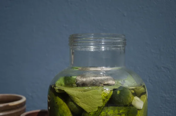 Cetrioli sottaceto in un grande vaso — Foto Stock