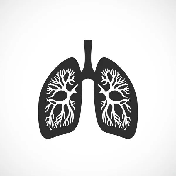 Human Lungs Anatomy Vector Icon — Stock Vector