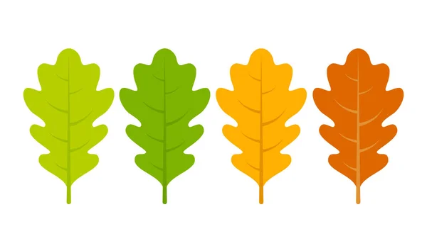 Seasonal Specific Oak Leaves Icon — Stock Vector