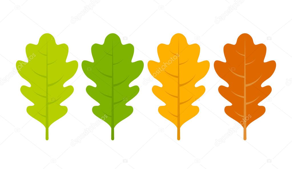 Seasonal specific oak leaves icon