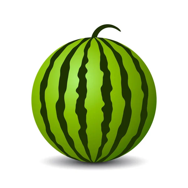 Rundes Wassermelonen Vektor Symbol — Stockvektor