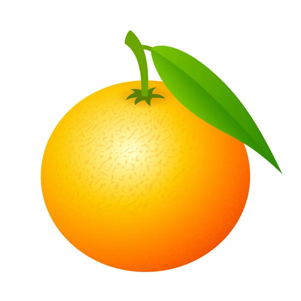Icône Vecteur Fruits Mandarine — Image vectorielle
