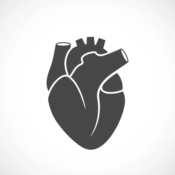 Corazón Icono Vector Órgano Humano — Vector de stock