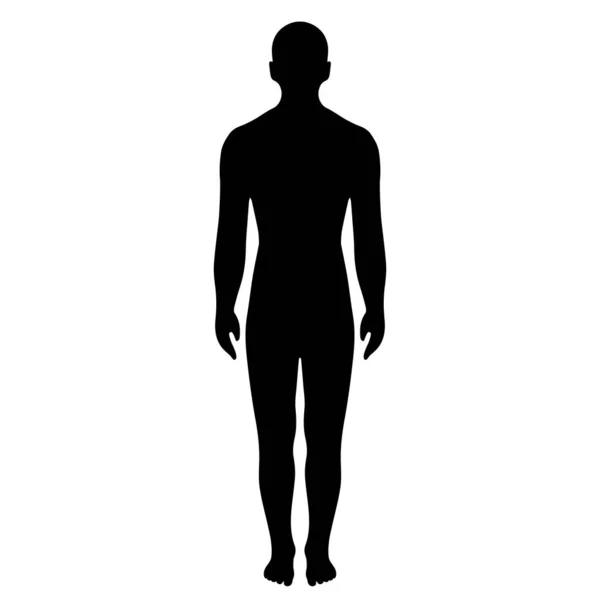 Man Full Length Body Silhouette Vector Illustration — Stock Vector