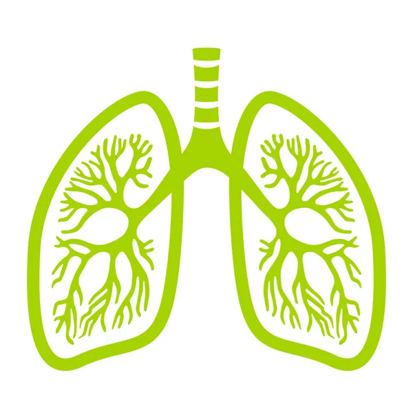 Human Lungs Vector Icon — Stock Vector