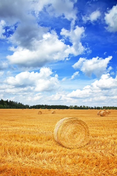 Paisaje otoñal — Foto de Stock