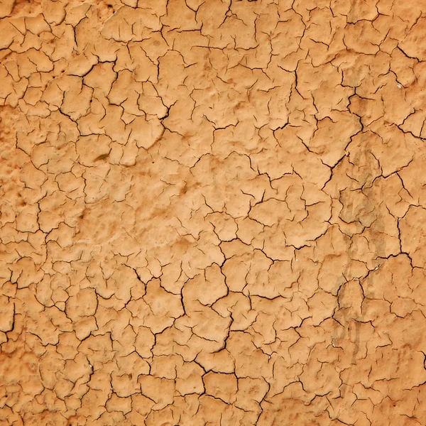 Fissures texture — Photo