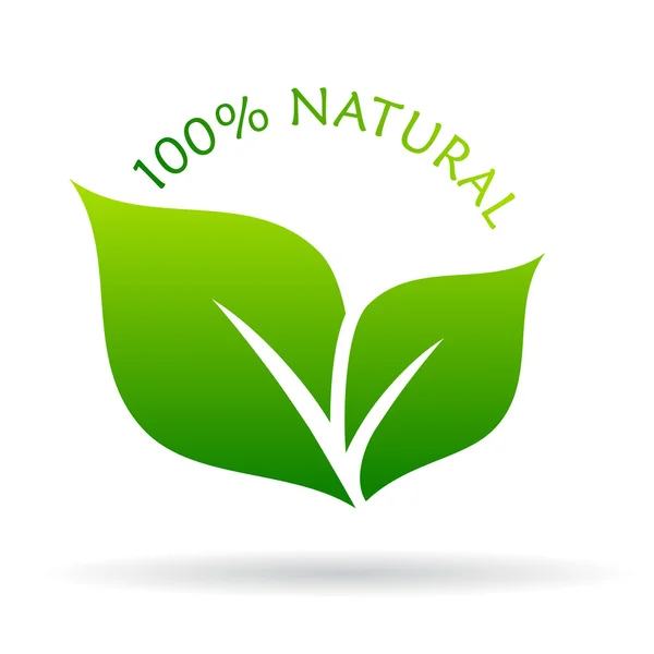 100 natural icon — Stock Vector