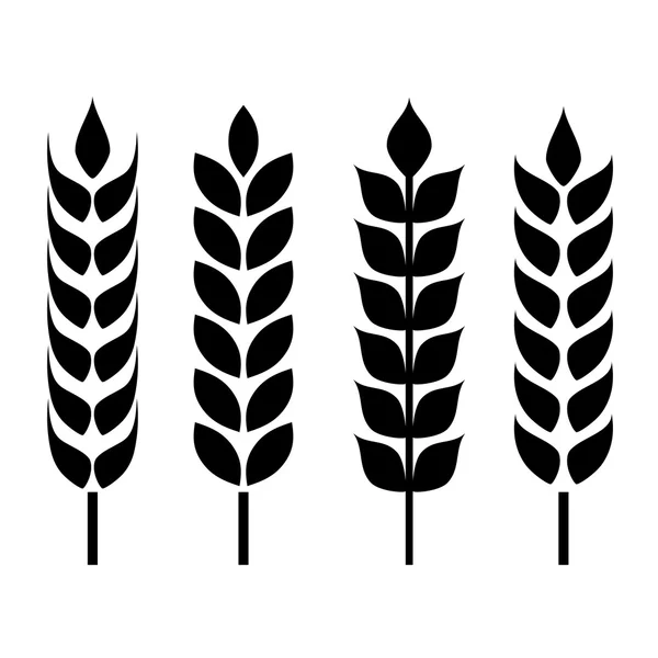 Wheat ear icon — Stock Vector