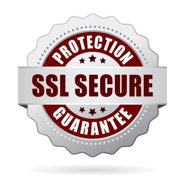 Bezpieczne zabezpieczenie SSL gwarancja ikona — Wektor stockowy