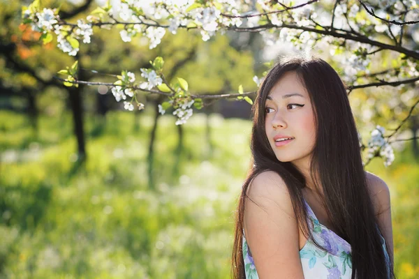 Beautiful chinese woman in spring meadow — Stock Photo, Image