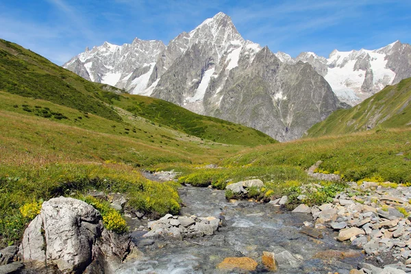 Mountain stream with Grand Jorasses glacier — Stock Photo, Image