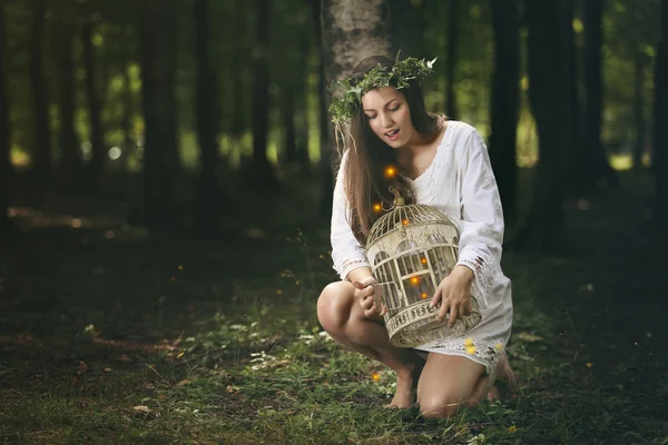 Beautiful girl and forest fairies — Stock Photo, Image