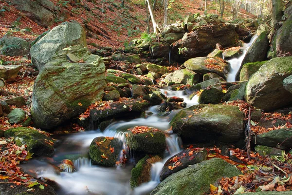 Colores otoñales en el arroyo de montaña — Foto de Stock