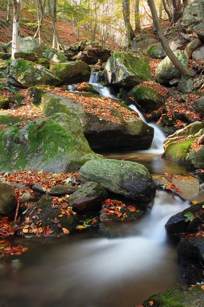 Mountain stream covered by fallen leaves Stock Photo