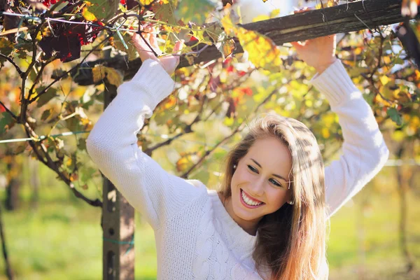 Bella ragazza sorridente in un vigneto — Foto Stock