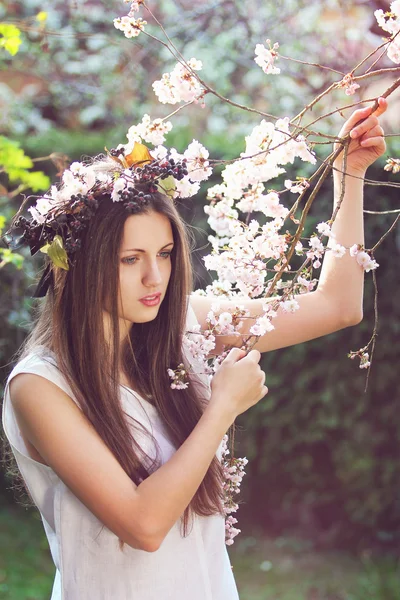 Een mooi meisje onder cherry bloemen — Stockfoto