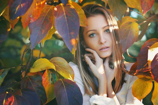 Herfst portret van mooi meisje — Stockfoto