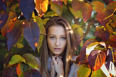 Geçen sonbahar renkleri