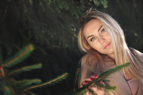 Retrato de inverno de uma mulher bonita e elegante — Fotografia de Stock