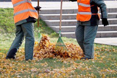 Sonbahar caddesinde dökülen yaprakları süpüren hademeler. Şehir parkında yaprakları temizlemek, sokak temizleyicileri tırmıkla