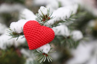 Noel kalbi, karla kaplı köknar dallarında aşkın kırmızı örgü sembolü. Romantik kart geçmişi, yeni yıl kutlaması, Sevgililer Günü ya da kış havası