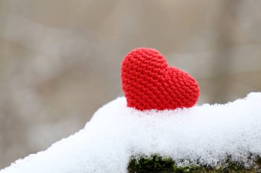 Kış ormanlarında sevgililer günü kalbi, soğuk hava. Karla kaplı kırmızı kalp, romantik aşkın sembolü, Noel tatili için arka plan.