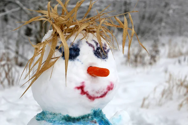 Funny snowman in a winter park. Children\'s creativity, leisure at cold weather