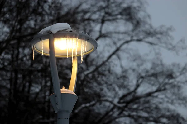 Gloeiende Led Lamp Bedekt Met Ijspegels Winterbomen Achtergrond Elektrische Verlichting — Stockfoto