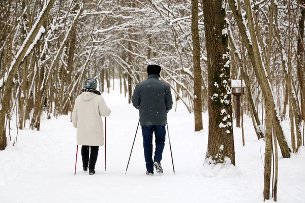 Északi Séta Egészséges Életmód Idős Pár Botokkal Téli Parkban Hóesés — Stock Fotó